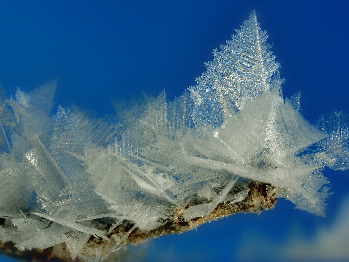 Кристаллы льда